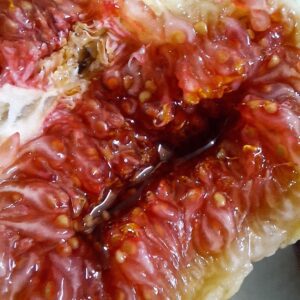 Colecția „Explozie de Gust”