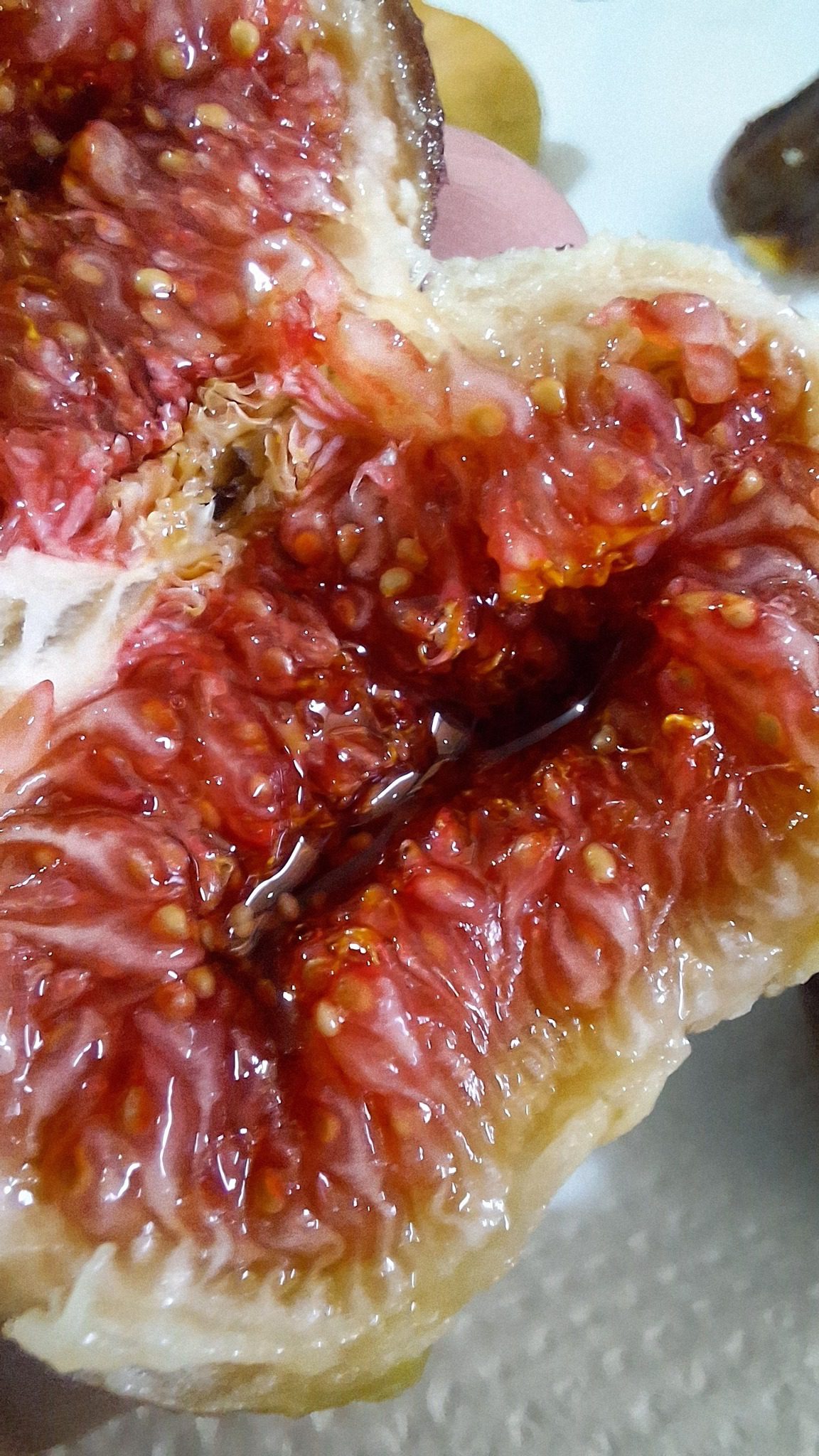 Colecția „Explozie de Gust”