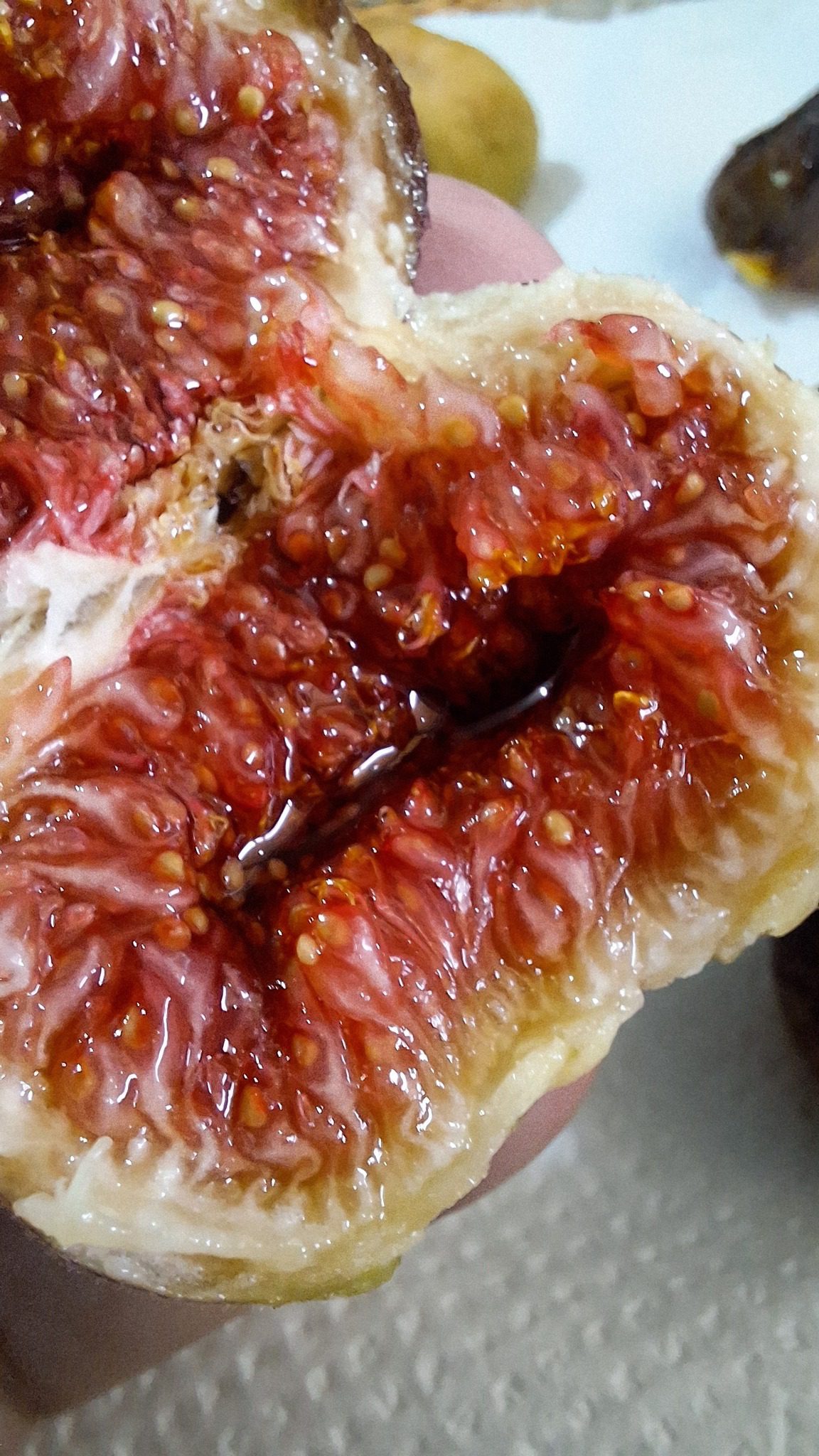 Smochin Voievod / „Albastru de Olt" - imagine 11