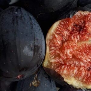 Smochin Napolitana Negra