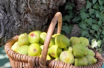 Smochinul, pe scurt.