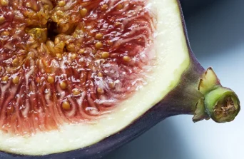 Polenizarea smochinilor: De ce nu rodesc toate soiurile în România?